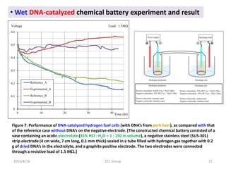 2016/8/16 CCL Group 21
• Wet DNA-catalyzed chemical battery experiment and result
0
0.1
0.2
0.3
0.4
0.5
0.6
0 10 20 30 40
Reference_A
Experimental_A
Reference_B
Experimental_B
Voltage
Time (hr)
Load : 1.5MΩ
Figure 7. Performance of DNA-catalyzed hydrogen fuel cells (with DNA’s from pork liver), as compared with that
of the reference case without DNA’s on the negative electrode. [The constructed chemical battery consisted of a
vase containing an acidic electrolyte (35% HCl : H2O = 1 : 150 in volume), a negative stainless steel (SUS-301)
strip electrode (4 cm wide, 7 cm long, 0.1 mm thick) sealed in a tube filled with hydrogen gas together with 0.2
g of dried DNA’s in the electrolyte, and a graphite positive electrode. The two electrodes were connected
through a resistive load of 1.5 M.]
 