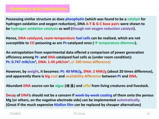 2016/8/16 CCL Group 24
• Summary and conclusions
Possessing similar structure as does pheophytin (which was found to be a catalyst for
hydrogen oxidation and oxygen reduction), DNA A-T & G-C base pairs were shown to
be hydrogen oxidation catalysts as well (though not oxygen reduction catalyst).
Hence, DNA-catalyzed, room-temperature fuel cells can be realized, which are not
susceptible to CO poisoning as are Pt-catalyzed ones ( temperature dilemma).
An extrapolation from experimental data offered a comparison of power generation
efficiency among Pt- and DNA-catalyzed fuel cells as (under room condition):
Pt: 0.747 mW/cm2, DNA: 1.44 μW/cm2. (> 500 times difference)
However, by weight, it becomes: Pt: 40 MW/g, DNA: 2 MW/g (about 20 times difference),
and apparently there is big cost and availability difference between Pt and DNA.
Abundant DNA source can be algae (綠藻) and offal from living creatures and livestock.
Decay of DNA’s should not be a concern if week-by-week coating of them onto the porous
Mg (or others, on the negative electrode side) can be implemented automatically.
(Great if the much expensive Niafion film can be replaced by cheaper alternatives)
 