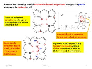 2016/8/16 CCL Group 9
How can the seemingly needed tautomeric dynamic ring current owing to the proton
movement be initiated at all?
Figure 0-5. Suspected
derivative morphology of
pheophytin (pheo), without
showing its tail
Figure 0-6. Proposed proton (H+)
transport mechanism within a
derivative pheophytin molecule
(tail not shown)  tautomerism
H+
H+
H+
Cf.
A double bond is converted
to one extra electron lone pair.
Single bonds,
instead of double
bonds, make the
H+ movement
much easier.
 