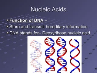 Nucleic AcidsNucleic Acids
Function of DNAFunction of DNA ––
Store and transmit hereditary informationStore and transmit h...