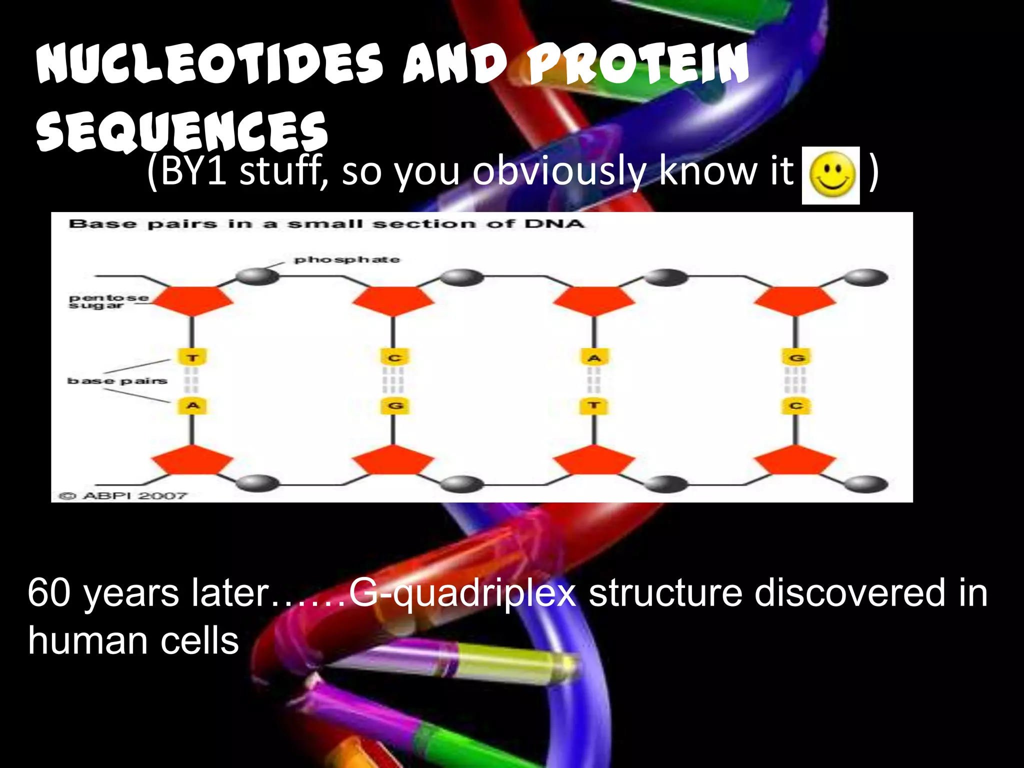 Dna G quadreplex structure discovery | PPTX