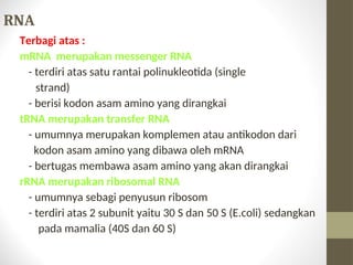 DNA, GEN DAN SINTESIS PROTEINnnnnnnnn.ppt