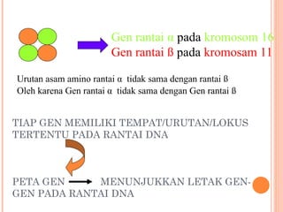 DNA_GEN_DAN_SINTESIS_PROTEIN [Autosaved].ppt