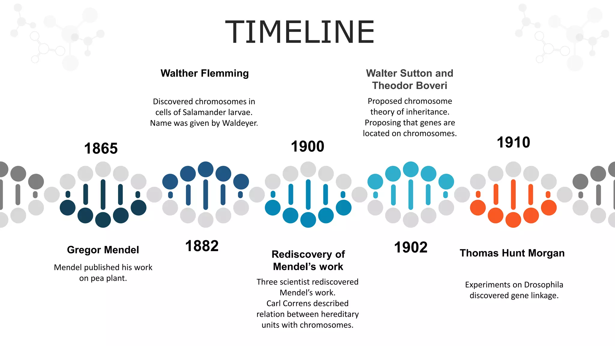 CHROMOSOMAL THEORY OF INHERITANCE | PPTX