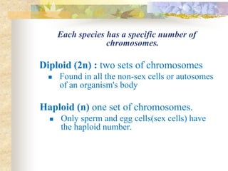 Each species has a specific number of
chromosomes.
Diploid (2n) : two sets of chromosomes
 Found in all the non-sex cells or autosomes
of an organism's body
Haploid (n) one set of chromosomes.
 Only sperm and egg cells(sex cells) have
the haploid number.
 