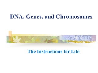 DNA, Genes, and Chromosomes
The Instructions for Life
 