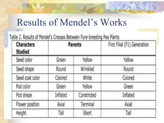 Results of Mendel’s Works
 