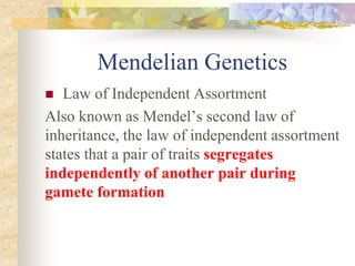 Mendelian Genetics
 Law of Independent Assortment
Also known as Mendel’s second law of
inheritance, the law of independent assortment
states that a pair of traits segregates
independently of another pair during
gamete formation
 
