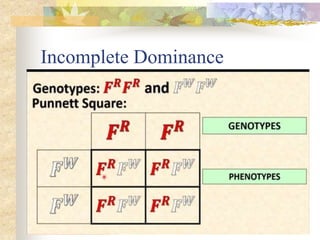 Incomplete Dominance
 