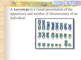 A karyotype is a visual presentation of the
appearance and number of chromosomes of an
individual.
 