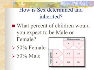 How is Sex determined and
inherited?
 What percent of children would
you expect to be Male or
Female?
 50% Female
 50% Male
 