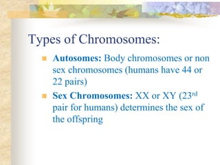 Types of Chromosomes:
 Autosomes: Body chromosomes or non
sex chromosomes (humans have 44 or
22 pairs)
 Sex Chromosomes: XX or XY (23rd
pair for humans) determines the sex of
the offspring
 