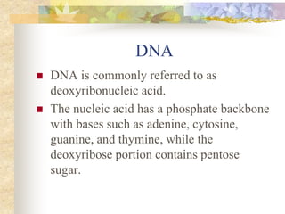 DNA
 DNA is commonly referred to as
deoxyribonucleic acid.
 The nucleic acid has a phosphate backbone
with bases such as adenine, cytosine,
guanine, and thymine, while the
deoxyribose portion contains pentose
sugar.
 