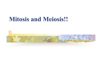 Mitosis and Meiosis!!
 
