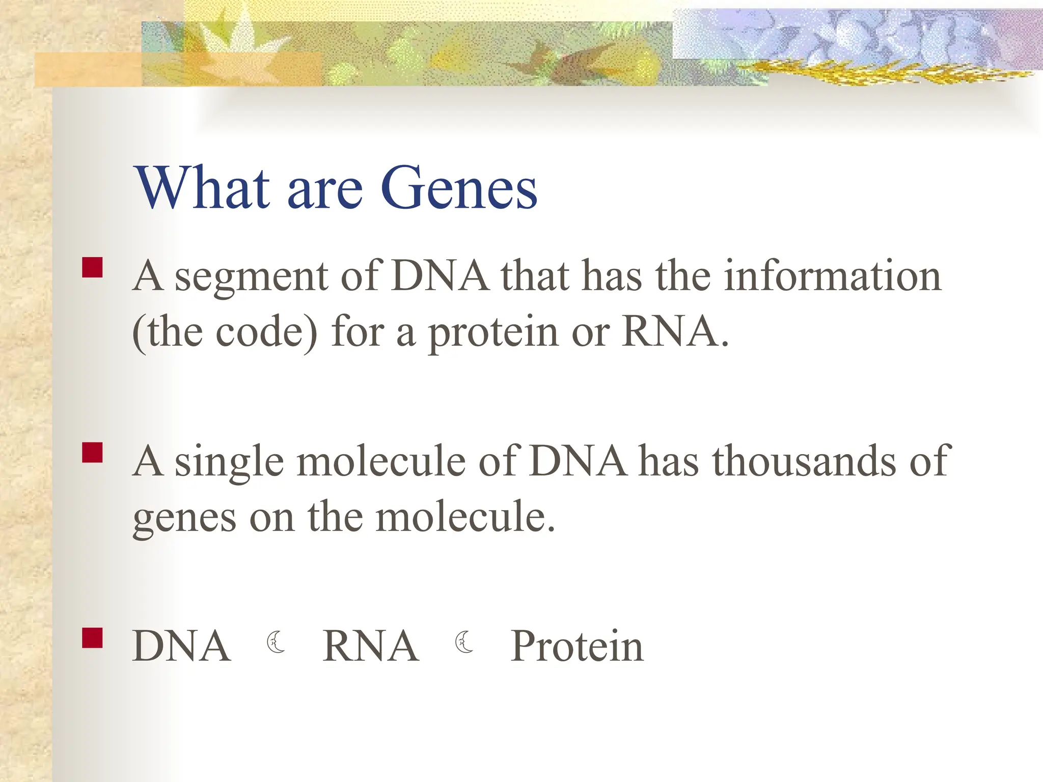 Dna Genes And Chromosomes Version 2 Edited Pptx