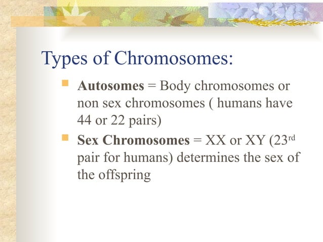 Dna Genes And Chromosomes Version 2 Edited Ppt