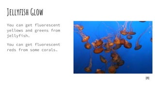 Jellyfish Glow
You can get fluorescent
yellows and greens from
jellyfish.
You can get fluorescent
reds from some corals.
[8]
 