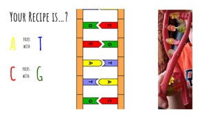 Your Recipe is…?
A T
C G
pairs
with
pairs
with
 