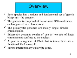 DNA & GENE STRUCTURE.pptx FUNDAMENTALS OF MOLECULAR BIOLOGY | PPTX