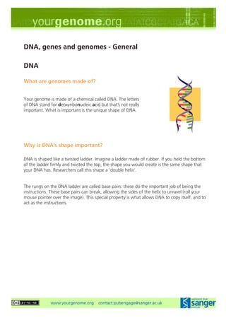 DNA, genes and genomes - General

DNA

What are genomes made of?


Your genome is made of a chemical called DNA. The letters
of DNA stand for deoxyribonucleic acid but that’s not really
important. What is important is the unique shape of DNA.




Why is DNA’s shape important?

DNA is shaped like a twisted ladder. Imagine a ladder made of rubber. If you held the bottom
of the ladder firmly and twisted the top, the shape you would create is the same shape that
your DNA has. Researchers call this shape a ‘double helix’.


The rungs on the DNA ladder are called base pairs: these do the important job of being the
instructions. These base pairs can break, allowing the sides of the helix to unravel (roll your
mouse pointer over the image). This special property is what allows DNA to copy itself, and to
act as the instructions.
 