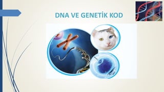 DNA VE GENETİK KOD
 
