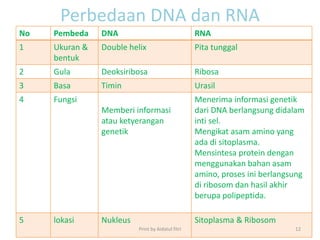 Perbedaan DNA dan RNA
No Pembeda DNA RNA
1 Ukuran &
bentuk
Double helix Pita tunggal
2 Gula Deoksiribosa Ribosa
3 Basa Timin Urasil
4 Fungsi
Memberi informasi
atau ketyerangan
genetik
Menerima informasi genetik
dari DNA berlangsung didalam
inti sel.
Mengikat asam amino yang
ada di sitoplasma.
Mensintesa protein dengan
menggunakan bahan asam
amino, proses ini berlangsung
di ribosom dan hasil akhir
berupa polipeptida.
5 lokasi Nukleus Sitoplasma & Ribosom
Print by Aidatul fitri 12
 