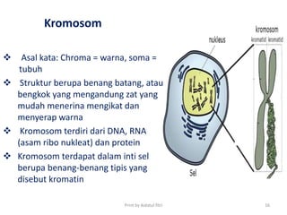 Kromosom
 Asal kata: Chroma = warna, soma =
tubuh
 Struktur berupa benang batang, atau
bengkok yang mengandung zat yang
mudah menerina mengikat dan
menyerap warna
 Kromosom terdiri dari DNA, RNA
(asam ribo nukleat) dan protein
 Kromosom terdapat dalam inti sel
berupa benang-benang tipis yang
disebut kromatin
Print by Aidatul fitri 16
 