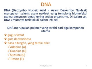 DNA
DNA (Deoxyribo Nucleic Acid = Asam Deoksribo Nukleat)
merupakan sejenis asam nukleat yang tergolong biomolekul
utama penyusun berat kering setiap organisme. Di dalam sel,
DNA umumnya terletak di dalam inti sel.
DNA merupakan polimer yang terdiri dari tiga komponen
utama
 gugus fosfat
 gula deoksiribosa
 basa nitrogen, yang terdiri dari:
Adenina (A)
Guanina (G)
Sitosina (C)
Timina (T)
Print by Aidatul fitri 2
 