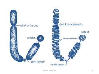 Print by Aidatul fitri 20
 