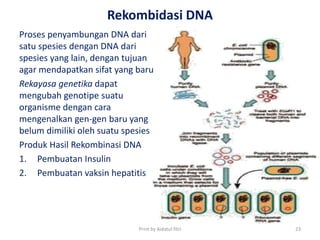 Rekombidasi DNA
Proses penyambungan DNA dari
satu spesies dengan DNA dari
spesies yang lain, dengan tujuan
agar mendapatkan sifat yang baru
Rekayasa genetika dapat
mengubah genotipe suatu
organisme dengan cara
mengenalkan gen-gen baru yang
belum dimiliki oleh suatu spesies
Produk Hasil Rekombinasi DNA
1. Pembuatan Insulin
2. Pembuatan vaksin hepatitis
Print by Aidatul fitri 23
 