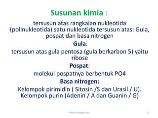 Susunan kimia :
tersusun atas rangkaian nukleotida
(polinukleotida).satu nukleotida tersusun atas: Gula,
pospat dan basa nitrogen
Gula:
tersusun atas gula pentosa (gula berkarbon 5) yaitu
ribose
Pospat:
molekul pospatnya berbentuk PO4
Basa nitrogen:
Kelompok pirimidin ( Sitosin /S dan Urasil / U).
Kelompok purin (Adenin / A dan Guanin / G)
Print by Aidatul fitri 8
 