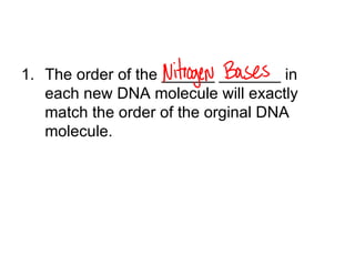 The order of the ______ _______ in each new DNA molecule will exactly match the order of the orginal DNA molecule. 