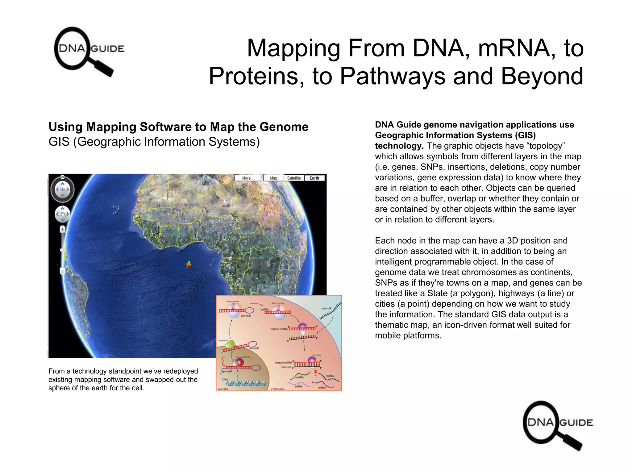 Mapping From DNA, mRNA, to
Proteins, to Pathways and Beyond
Using Mapping Software to Map the Genome
GIS (Geographic Information Systems)
DNA Guide genome navigation applications use
Geographic Information Systems (GIS)
technology. The graphic objects have “topology”
which allows symbols from different layers in the map
(i.e. genes, SNPs, insertions, deletions, copy number
variations, gene expression data) to know where they
are in relation to each other. Objects can be queried
based on a buffer, overlap or whether they contain or
are contained by other objects within the same layer
or in relation to different layers.
Each node in the map can have a 3D position and
direction associated with it, in addition to being an
intelligent programmable object. In the case of
genome data we treat chromosomes as continents,
SNPs as if they're towns on a map, and genes can be
treated like a State (a polygon), highways (a line) or
cities (a point) depending on how we want to study
the information. The standard GIS data output is a
thematic map, an icon-driven format well suited for
mobile platforms.
From a technology standpoint we’ve redeployed
existing mapping software and swapped out the
sphere of the earth for the cell.
 