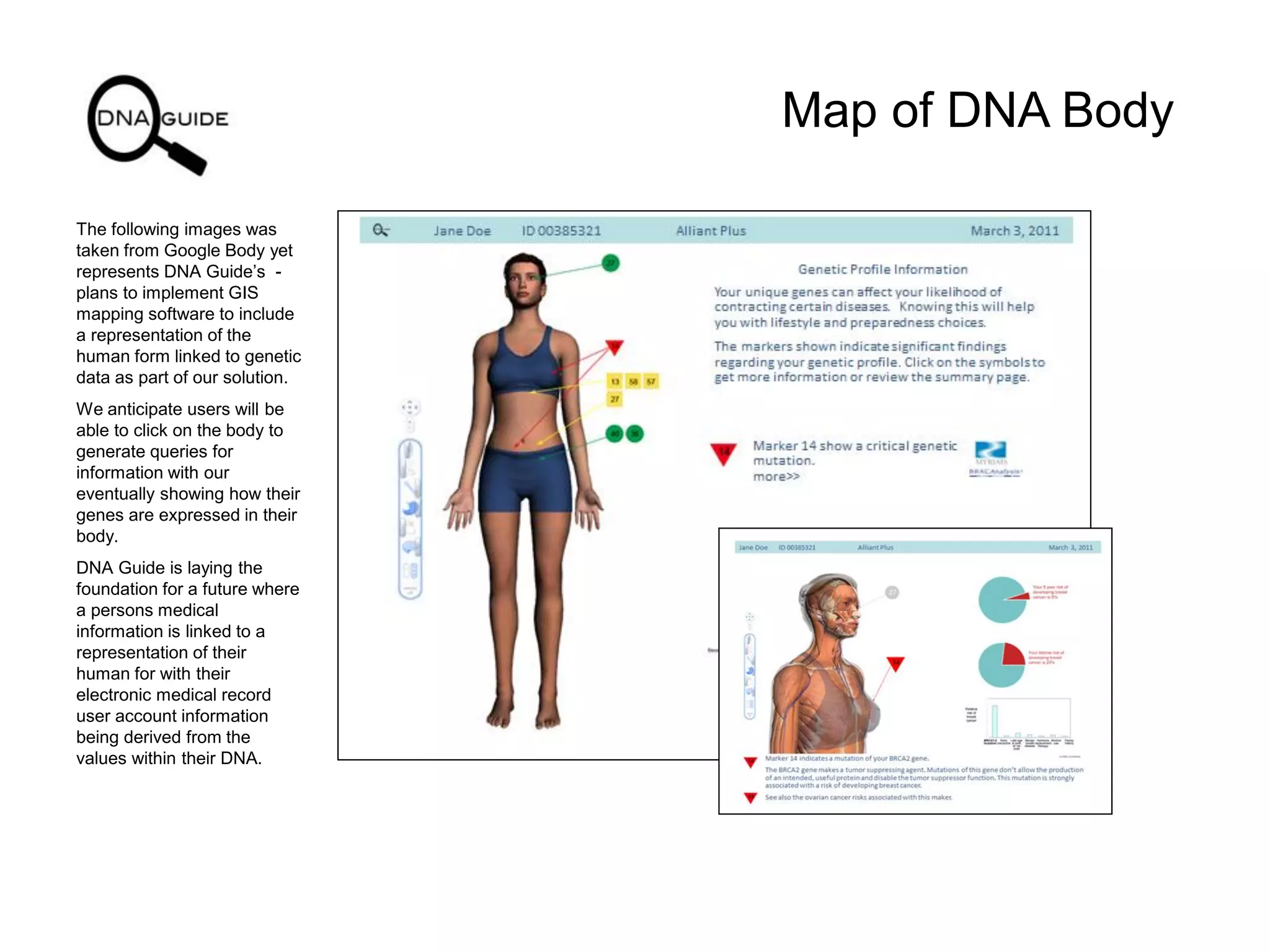 Map of DNA Body
The following images was
taken from Google Body yet
represents DNA Guide’s -
plans to implement GIS
mapping software to include
a representation of the
human form linked to genetic
data as part of our solution.
We anticipate users will be
able to click on the body to
generate queries for
information with our
eventually showing how their
genes are expressed in their
body.
DNA Guide is laying the
foundation for a future where
a persons medical
information is linked to a
representation of their
human for with their
electronic medical record
user account information
being derived from the
values within their DNA.
 
