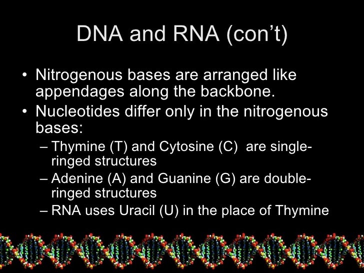 dna history and structure The race to uncover the structure of dna reveals fascinating they constituted one of the most important scientific discoveries in history. dna history and structure The race to uncover the structure of dna reveals fascinating they constituted one of the most important scientific discoveries in history.