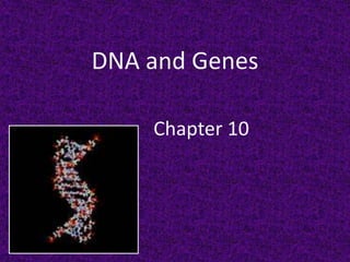 DNA and Genes

    Chapter 10
 