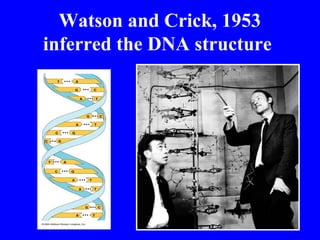 Watson and Crick, 1953
inferred the DNA structure
 