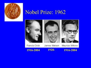 Nobel Prize: 1962
1928-1916-2004 1916-2004
 