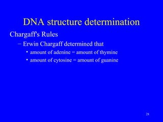 28
DNA structure determination
Chargaff's Rules
– Erwin Chargaff determined that
• amount of adenine = amount of thymine
• amount of cytosine = amount of guanine
 