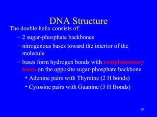 29
DNA Structure
The double helix consists of:
– 2 sugar-phosphate backbones
– nitrogenous bases toward the interior of the
molecule
– bases form hydrogen bonds with complementary
bases on the opposite sugar-phosphate backbone
• Adenine pairs with Thymine (2 H bonds)
• Cytosine pairs with Guanine (3 H Bonds)
 