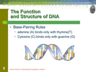 Dna in forensics | PPT