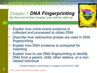 Forensic Science: Fundamentals & Investigations, Chapter 71
Chapter 7 DNA Fingerprinting
By the end of this chapter you will be able to:
o Explain how crime scene evidence is
collected and processed to obtain DNA
o Describe how radioactive probes are used in DNA
fingerprinting
o Explain how DNA evidence is compared for
matching
o Explain how to use DNA fingerprinting to identify
DNA from a parent, child, other relative, or a non-
related individual
All Rights Reserved South-Western / Cengage Learning © 2012, 2009
 