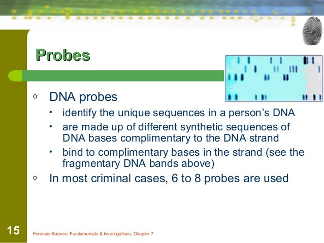 Dna in forensics
