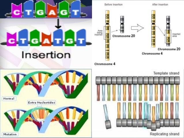 Inserting gene into genome