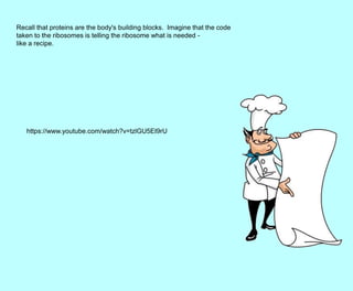 Recall that proteins are the body's building blocks. Imagine that the code
taken to the ribosomes is telling the ribosome what is needed -
like a recipe.
https://www.youtube.com/watch?v=tzlGU5EI9rU
 