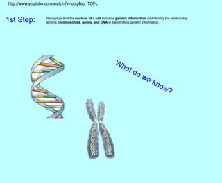 1st Step: Recognize that the nucleus of a cell contains genetic information and identify the relationship
among chromosomes, genes, and DNA in transmitting genetic information.
http://www.youtube.com/watch?v=ubq4eu_TDFc
 
