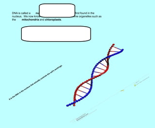 DNA is called a nucleic acid because it was first found in the
nucleus. We now know that DNA is also found in some organelles such as
the mitochondria and chloroplasts.
 