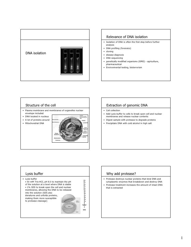 slideshare