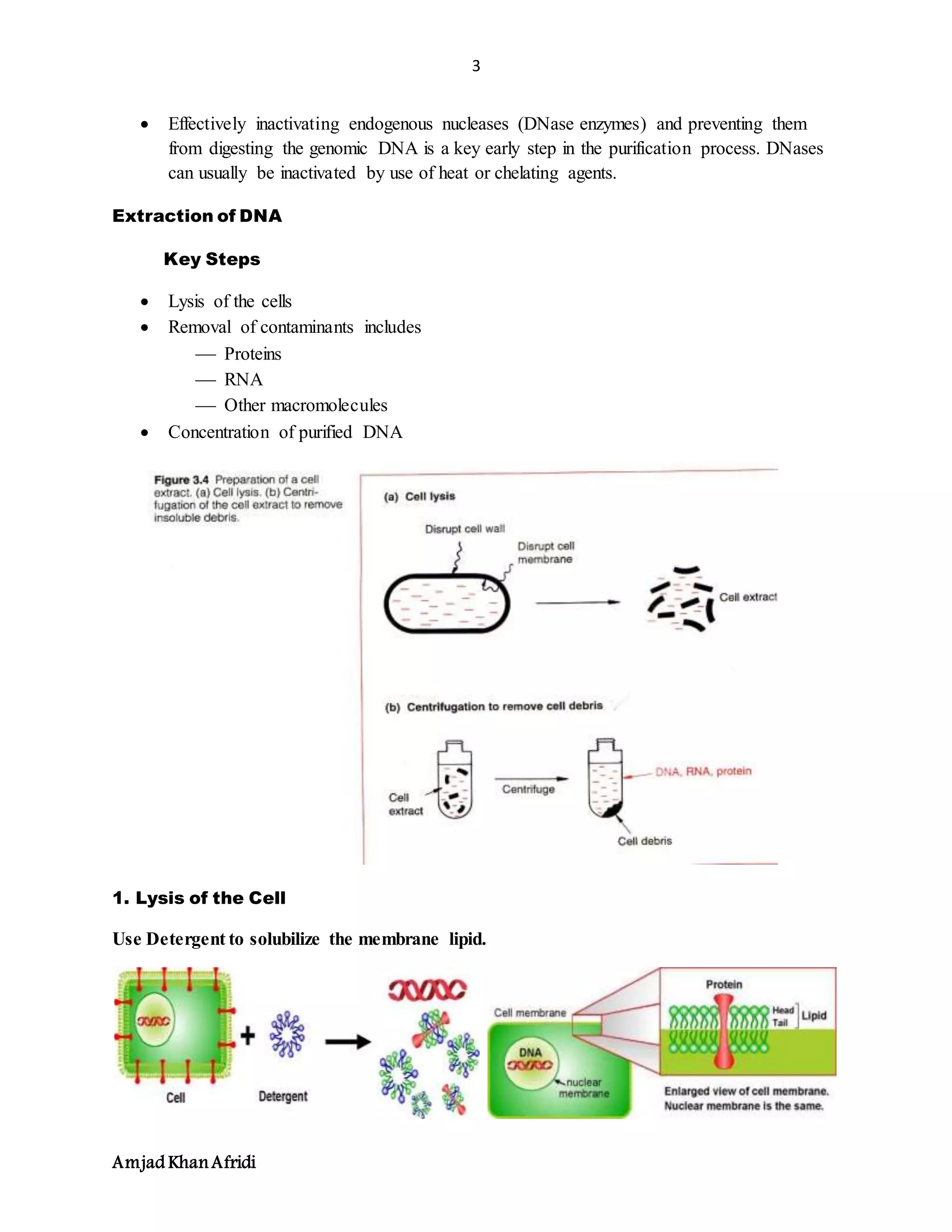 3
Amjad KhanAfridi
 Effectively inactivating endogenous nucleases (DNase enzymes) and preventing them
from digesting the genomic DNA is a key early step in the purification process. DNases
can usually be inactivated by use of heat or chelating agents.
Extraction of DNA
Key Steps
 Lysis of the cells
 Removal of contaminants includes
 Proteins
 RNA
 Other macromolecules
 Concentration of purified DNA
1. Lysis of the Cell
Use Detergent to solubilize the membrane lipid.
 
