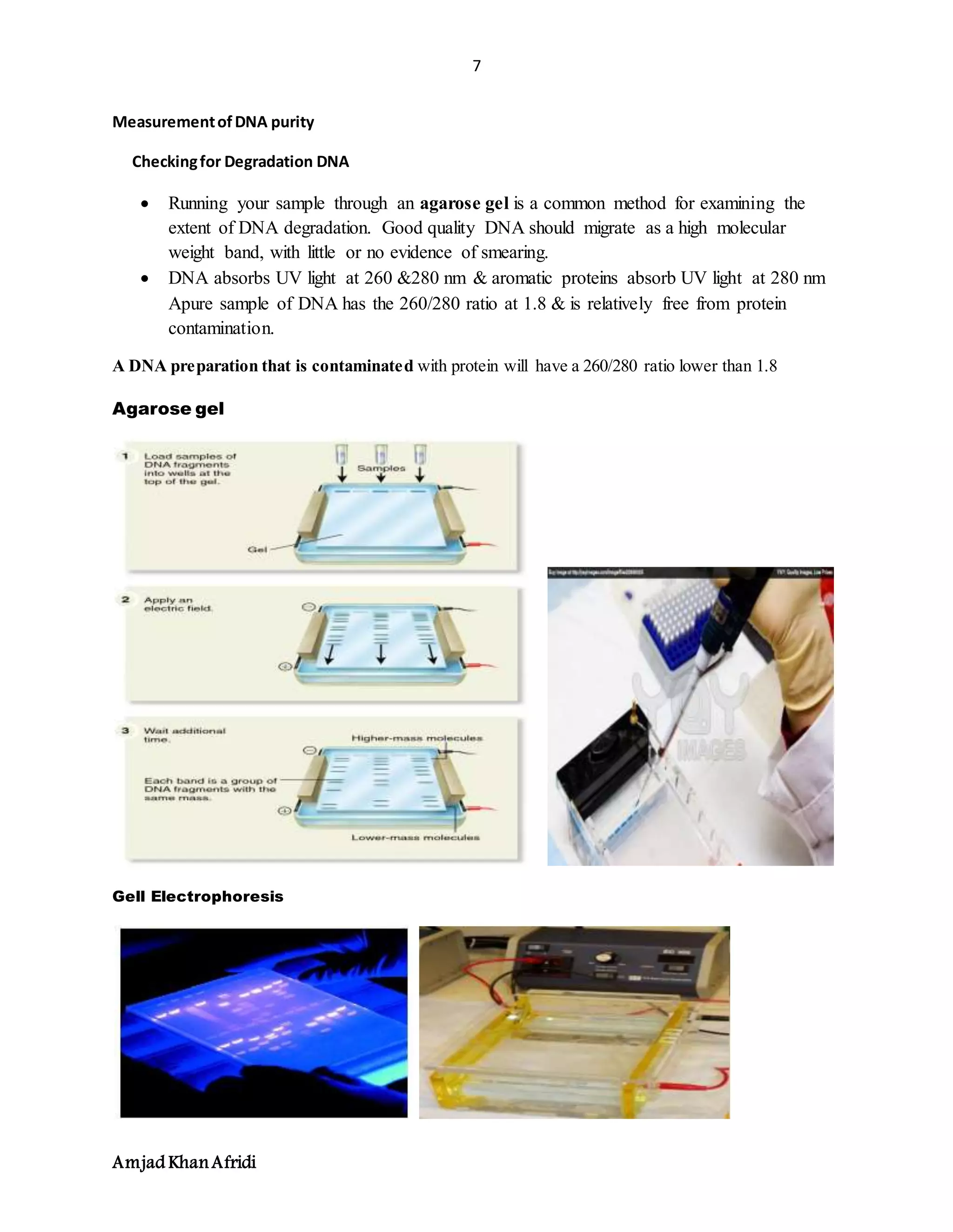 7
Amjad KhanAfridi
MeasurementofDNA purity
Checkingfor Degradation DNA
 Running your sample through an agarose gel is a common method for examining the
extent of DNA degradation. Good quality DNA should migrate as a high molecular
weight band, with little or no evidence of smearing.
 DNA absorbs UV light at 260 &280 nm & aromatic proteins absorb UV light at 280 nm
Apure sample of DNA has the 260/280 ratio at 1.8 & is relatively free from protein
contamination.
A DNA preparation that is contaminated with protein will have a 260/280 ratio lower than 1.8
Agarose gel
Gell Electrophoresis
 